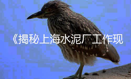 义乌黄沙石子水泥零售、扬州黄沙批发零售、福州零售水泥黄沙、广州黄沙零售电话