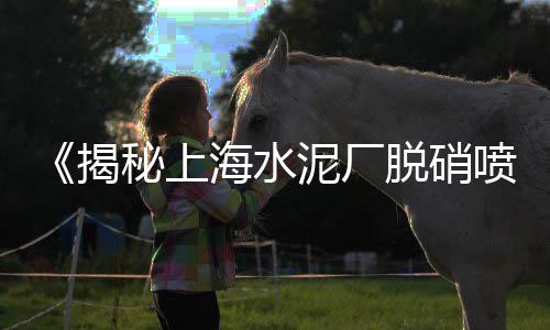 上海节能石子仓进货价、上海垃圾再生石子上船、上海石子老板简介图片、上海破碎石子