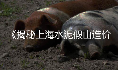 上海干挂石子批发厂家、上海石子生产线供应商、上海制沙石子机全套设备、上海浦东一粒小石子