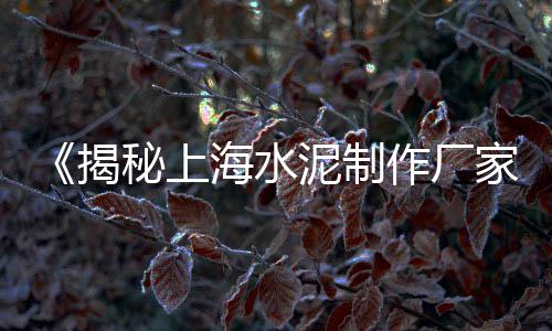 上海水泥封房子、上海水泥砖机、上海水泥销量前几名、上海水泥搅拌站