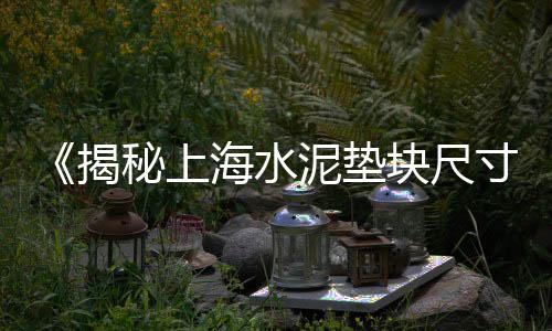 岳阳到上海船运黄沙价格、上海黄沙岛有轮渡吗、上海财经大学黄沙老师、上海黄沙石子码头地址
