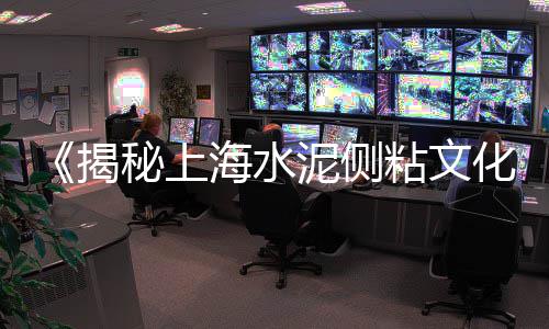 上海水泥风棚厂家、上海水泥防滑条订做、上海水泥激光整平机、贵州上海水泥价格走势表