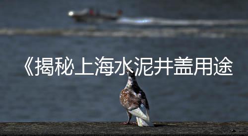 韩城批发沙子石子水泥、南山石子批发找哪家、南京批发白石子的地方、萧山石子瓜子片批发