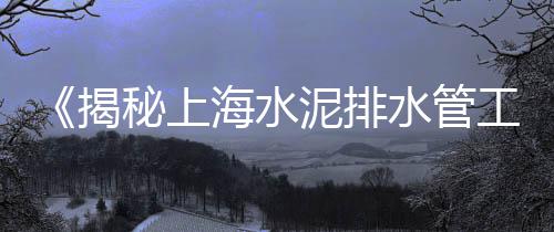 石子市场价格调研表模板、玉林石子岭禽畜市场车祸、玉林石子岺三鸟市场、果园新村石子建材市场