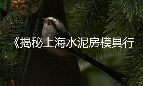 上海水泥搅拌机效果好、上海水泥自流平优惠、上海水泥助磨剂原料、上海水泥招搬运工