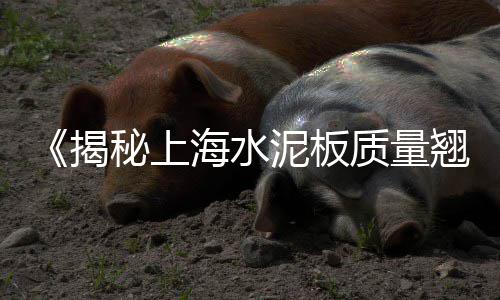 水泥黄沙批发零售杨伍、合肥码头黄沙零售店地址、绍兴黄沙水泥零售店地址、合肥黄沙水泥建材零售店