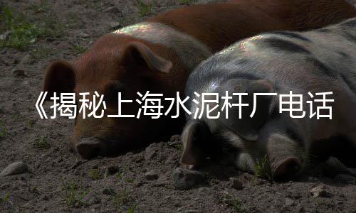 郑州水泥大沙批发零售、浏河水泥零售店地址查询、佛山水泥批发零售多少钱、涞源县水泥零售批发电话