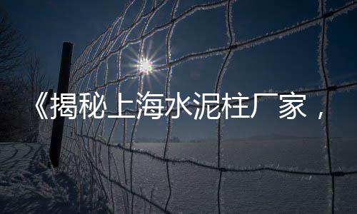 水泥批发零售保山、泰安水泥制管设备零售、辛口镇水泥批发零售、玉林卖沙子水泥零售利润