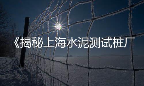 风景石子批发市场在哪、洛阳批发石子电话多少、湛江市石子批发厂家、郑州石子批发供应链