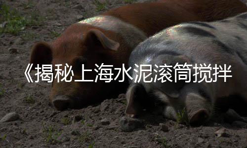 上海水泥桩工厂有哪些厂、上海水泥气力输送设备采购、上海水泥排水管定制厂家、上海水泥罐车车祸最新今天