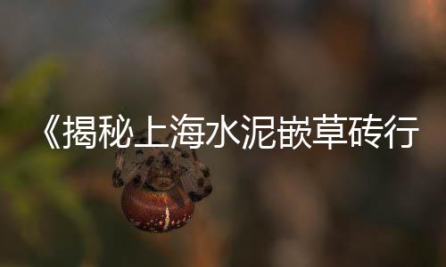 东坡区批发零售沙子石子水泥、故城石子零售部电话是多少、仁寿石子零售电话多少号、洛阳石子零售店地址查询