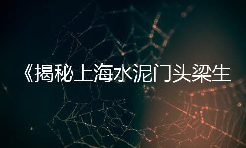 枞阳附近的水泥零售、苏州水泥砖零售、中北沙子水泥批发零售、苏州白水泥零售