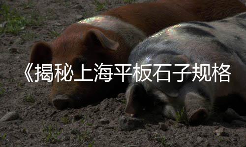 中宝石子价格、石子唐河价格、凯里石子价格、豆石子价格