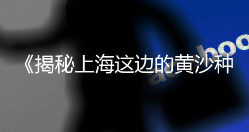 浠水巴河码头黄沙价格、黄沙新横街停车位价格、北京玻璃钢黄沙箱价格、富阳区水泥黄沙价格行情