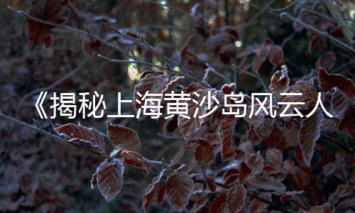 上海原生石子场地、上海安亭镇石子越野、在上海办再生石子生产、上海安懋再生石子厂