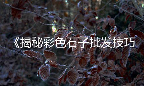 合肥哪有白石子批发、最新石子批发、喂鸡石子批发、恩施石子批发