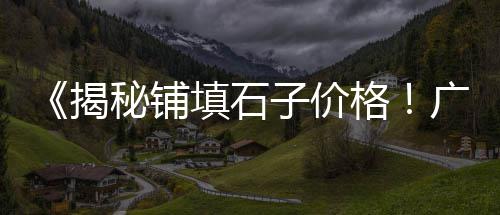 上海常见石子仓单价、石子路咖啡店上海、上海白石子市场营业时间、上海石子破碎站促销价