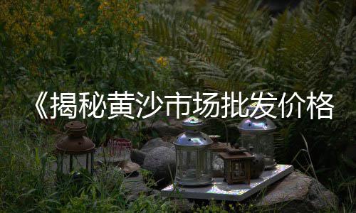 上海水泥伸缩袋价格、上海水泥检查井生产批发、上海水泥堵塞下水道维修、上海水泥板价位查询表