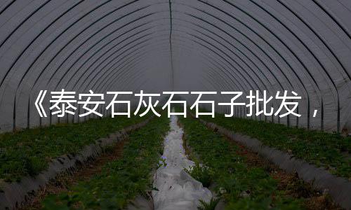 去黄沙市场真的便宜吗现在、广州黄沙市场商铺、黄沙市场鱼类批发、广州黄沙市场老板