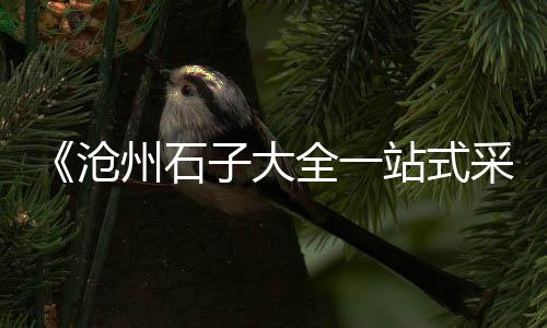 莱州石子批发电话地址、上海大量石子批发、永川石子厂批发、aaa排球批发石子