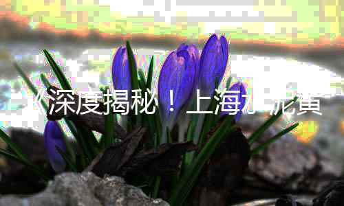 天津水泥块石子批发市场、北京黄砂石子批发市场、福州白石子批发市场在哪、嘉兴黄沙石子批发市场