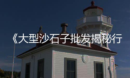 上海石子产地是哪里、上海黄砂石子码头、上海黑色石子定制厂家、上海网红石子哥