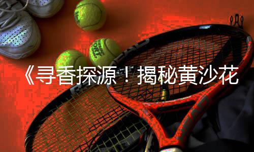 益阳零售沙子石子水泥、大张庄石子零售、青州零售石子价格、靖江石子零售电话