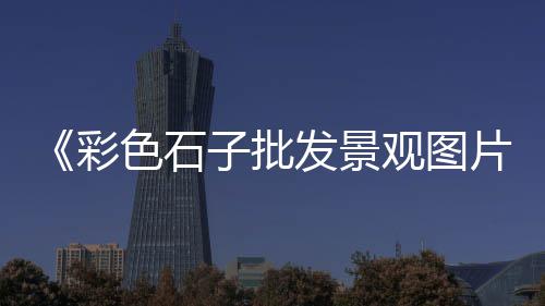 福建路面漏石子批发、杭州石子批发电话、批发小石子造景、临沂石子批发采购中心