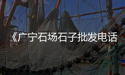 塘渡口石子批发、泰州直销石子批发、山西石头石子批发、晋城砂子石子批发