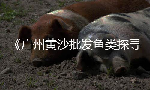 浙江长兴黄沙批发码头、德清水泥黄沙石子批发、建筑工程用黄沙批发销售、批发黄沙推荐厂家电话