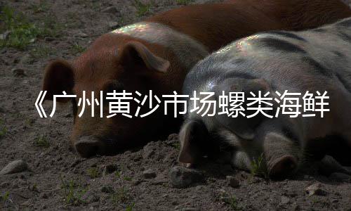 泯石子花池价格、广东公路花岗岩石子价格、枣庄市石子行情价格、天津防护防辐射石子价格