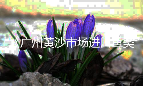 云南曲靖沙石水泥批发厂、德化水泥预制化粪池批发、金华水泥木纹砖批发厂家、广东水泥仿竹栏杆批发