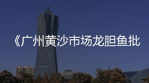 黄沙水产批发市场指南、黄沙娃娃批发市场、西湖区细黄沙批发、批发水泥黄沙气块厂家