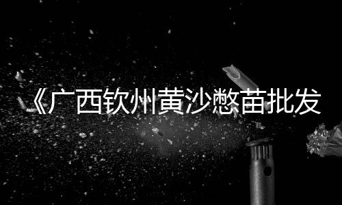 常州石子交易市场、常宁石子批发市场在哪里、吉安景观石子批发市场、济南青石子批发市场在哪