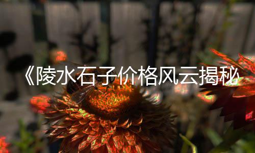 曲阜市石子厂家批发、泸州建材批发市场石子、徐州石子建材批发市场、镇江石子石料批发市场