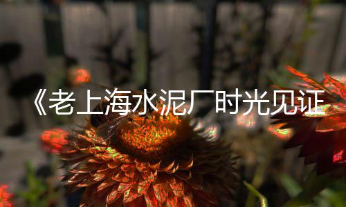 衢州道路水泥警示桩批发、水泥卫生间通风道批发、成都水泥砖质量批发商、青海水泥砖道牙批发