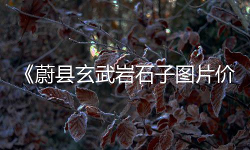黄沙市场卖猪仔的店铺叫什么、广州黄沙市场深夜打架、黄沙市场鲜瑶柱、黄沙市场吃海鲜视频