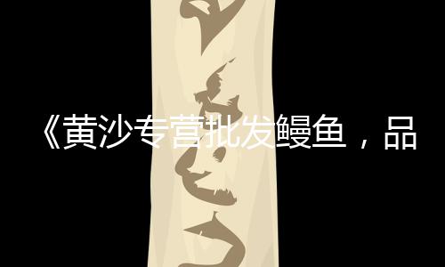 上海石子黄沙直销、上海购买黄沙水泥、上海优质黄沙订购、上海中粗黄沙