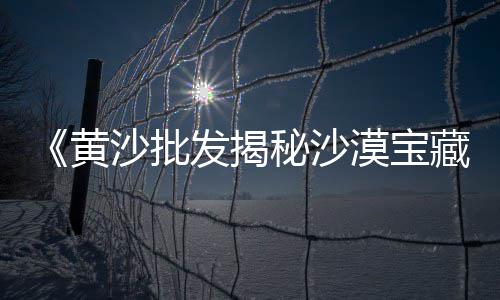 批发黄沙水泥瓷砖胶厂家、广州黄沙批发市场闸蟹、上海黄沙石子批发市场、仙桃市黄沙批发市场