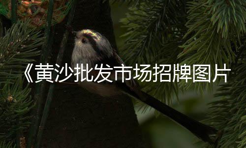 水泥砖托板价格、武汉水泥价格查询、今日华润水泥价格、山东省水泥价格