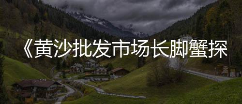 蒲城洛东水泥价格多少、庭院围墙水泥墙价格、德国评论中国水泥价格、纯水泥灌注地板价格