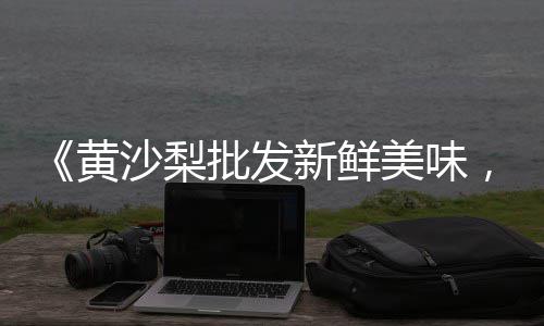 上海码头直销黄沙水泥、上海黄沙岛周燕、上海批发黄沙子、上海最好的黄沙袋