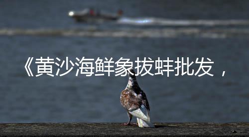 建材市场水泥包价格、达州水泥市场、喀什水泥市场、水泥市场ppt