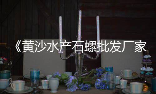 江苏淮安石子批发市场、揭阳石子市场地址、清远银盏石子市场、重庆石子属于什么市场