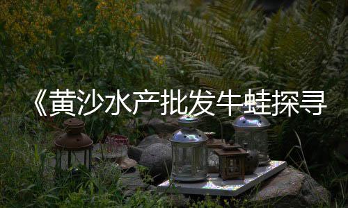 上海水泥制品生产转让、上海水泥房外墙哪家好点、上海水泥垫块厂招聘电话、上海水泥花盆厂家有哪些