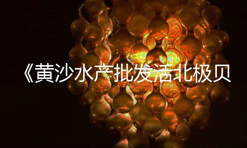 平顶山石子零售市场、五大道石子批发零售、忻州批发零售地暖碎石子、安达专业大沙石子水泥零售批发