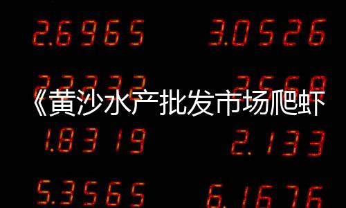 上海哪里有石子浴、上海白石子价格、上海洗石子地坪、上海石子塘口