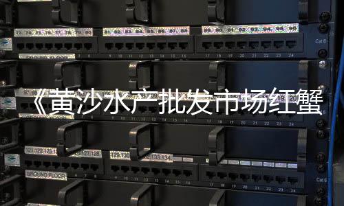 黄沙珍宝蟹批发、黄沙桥土猪肉批发市场、运村黄沙石子水泥批发厂、黄沙海胆批发市场在哪