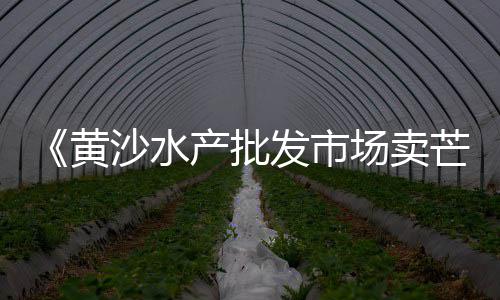 缅甸水泥批发市场、廊坊水泥市场、水泥市场操作、水泥市场多大
