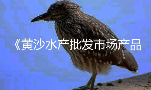 周口彩色水泥批发、东莞水泥排水沟厂家批发、城市开水泥砂石砖批发、白山市水泥砌砖批发费用